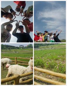 pt2017_04_24_10_35_20.jpg